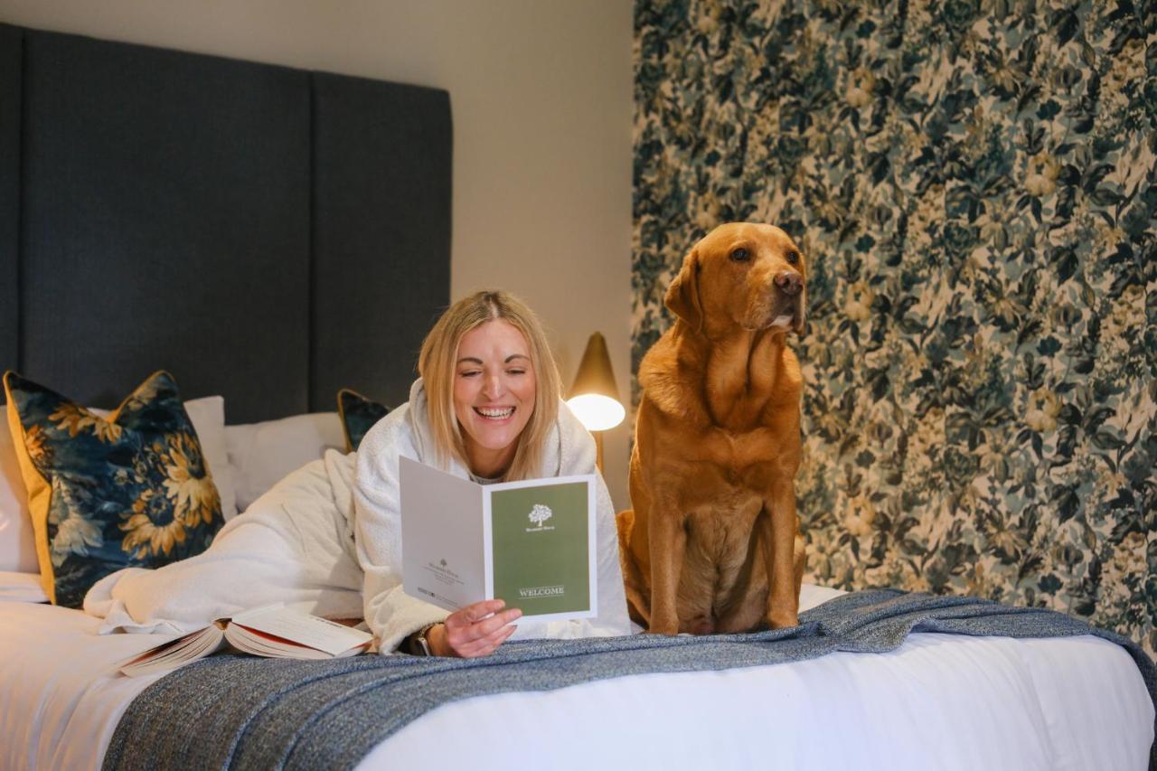 Mulberry House Guest House Ongar Luaran gambar