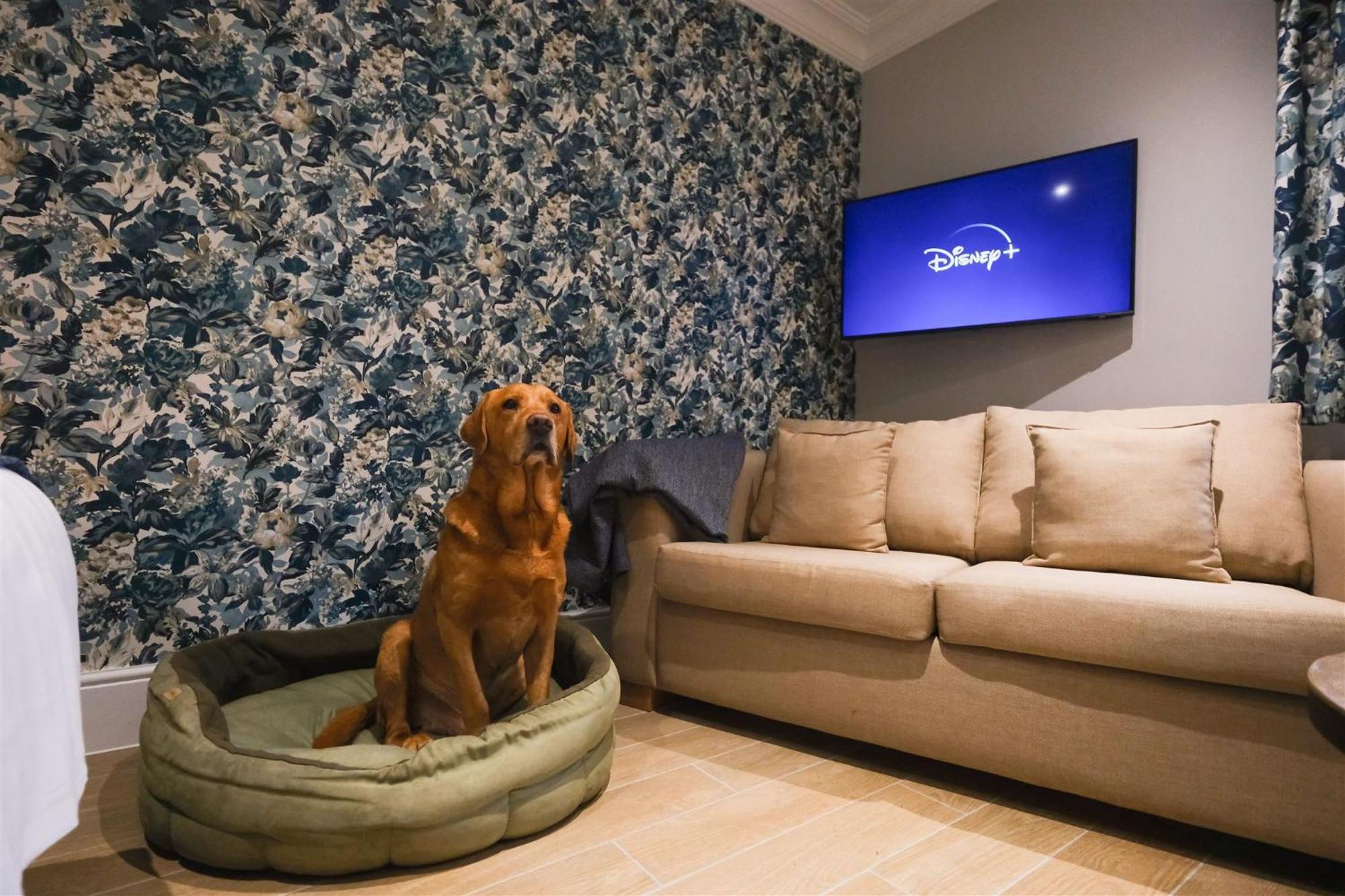 Mulberry House Guest House Ongar Luaran gambar